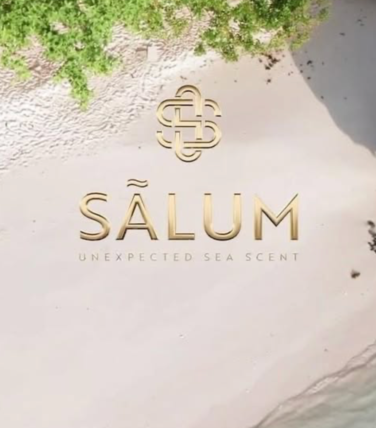 salum parfums logo with in the background a white beach, the sea and some trees.